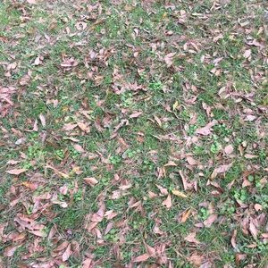 Meet your Posher, Brigitte